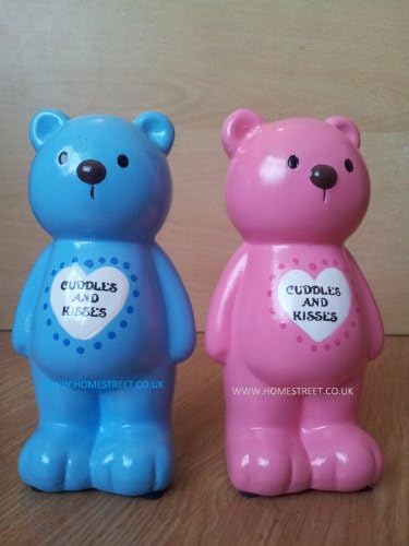 Homestreet Bear Money Bank Or Box With Speacial Message - Blue Cuddles And Kisses