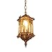 Produktbild YJH Retro Draußen Wasserdichte Kronleuchter, Außenhof Korridor Kronleuchter Pavillon Gang Balkon Lampe Industrial Style Einzelkopf E27 Metall 16cm harmonisch und heiter ( Farbe : Bronze )