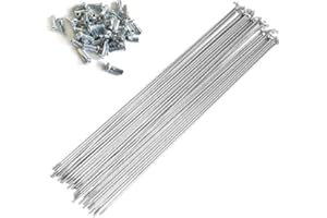 BIKECO 13G - Raggi per bicicletta, in acciaio al carbonio, 20 pezzi, J Bend, con nippli da 12 mm, 70 ~ 305 mm, per triciclo e bici elettrica