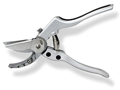 Preisvergleich Produktbild Gartenpaul Präsentierschere Rosenschere Blumenschere