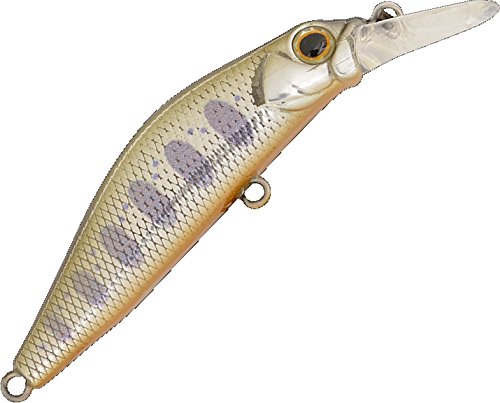 Preisvergleich Produktbild Jackson Kanade – 6 cm – 8G – Fc5