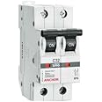 Anchor 32 A MCB DP (White, Standard Size)