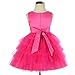 Dressy Daisy Baby Girls' Beaded Satin Tulle Tiered Wedding flower Girl Bridesmaid Dresses Party Dress Size 9-12 Months Hot Pink