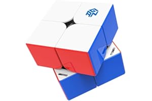 Bukefuno GAN 251 M Pro 2x2 Magnetwürfel Gans Mini Speed GAN 251 Pro 63 2x2x2 Stickerless Magnete 2021 Magic Puzzle (Flaggschiff 251M Pro Matte Oberfläche)