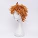 Orange Unisex Haikyuu Karasuno High School Volleyball Club Hinata Shouyou Wigs