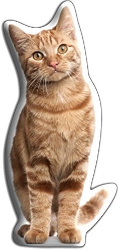 Pet Cushions Ginger Tabby Cat Gift - MIDI - Beautiful Strokable Cuddle Cushion – Made for cuddling up to. (Size H30 cms x W15 cms)