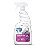Sanitec 1910-S Disincrostante Ultra, Detergente Disincrostante e Scioglicalcare, Spray 750 Ml