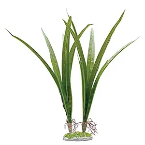 Fluval Acorus Plant for Aquarium, 14.5-inch