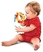Fisher Price Discover 'N Grow Mane Mirror