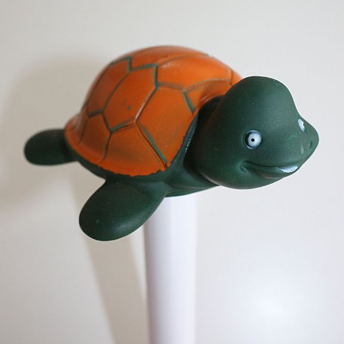 Pool Thermometer Schildkröte - 2