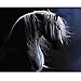 Produktbild CYKEJISD Puzzle 1000 Teile Hübscher Whit Horse DIY Decor Crafts Geschenk Klassisches Puzzle 3D Puzzle Holzspielzeug Einzigartiges Geschenk Home Decor