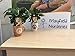 Produktbild Portal Cool 1 Kaffeepflanze In 7Cm Brown Keramik-Kaffeetasse Indoor Garden Cafe Arabica-Baum