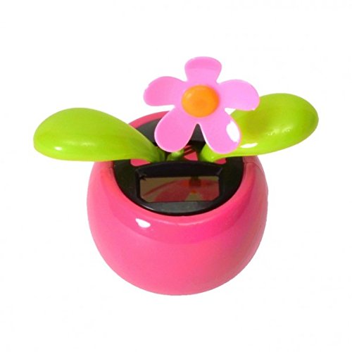 Blumen und Insekten Solarfigur – Insekten und Blumen Solar Figur Wackelfigur Blumen & Insekten - 3