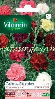 Preisvergleich Produktbild VILMORIN oeillet des fleuristes Triomphe varié