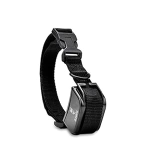 Collar Receptor de Reemplazo/Adicional/Extra para Collar GLEADING-SD-731(ASIN: B01MFXDAQ3)