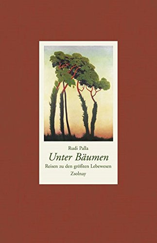 Unter Bäumen: Reisen zu den größten Lebewesen