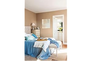 BLATEM INDIANA ANTIMOHO PROFESIONAL PLASTICA VINILICA MATE (4 LTS) (Marron suave)