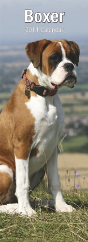 Download Boxer (Slim) 2014 (Calendar 2014)