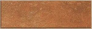 Johnson Endura-Solaire Brick - Plus - Germ Free Glazed vitrified Wall cladding Tiles, Rustic Look, Matte Finished, 24x7.5cm - 0.65cm Thickness| 40 Tiles per Box