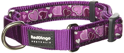 Red-Dingo-Martingale-Breezy-Love-20mm-Choke-Collar-MediumLarge-Purple