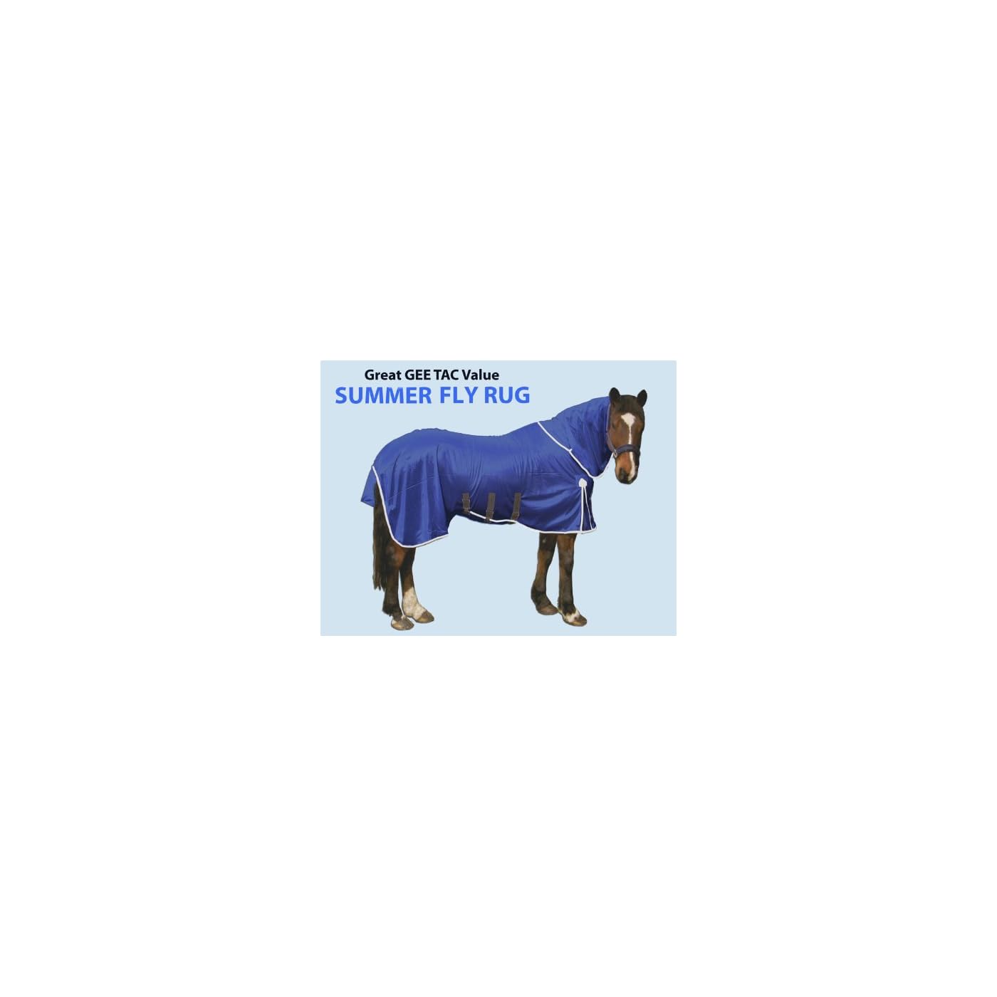 Horse ‘n’ Pony