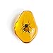 Geoworld ed378 K – Dig & Discover Spiny Orb-weaver Mini Kit Digging with Real Insects in Amber Replica