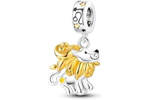 TINSLO Ciondolo 12 Costellazioni Argento Sterling 925 con Cubic Zirconia Pendenti per Pandora Braccialetti, Compatibile con Braccialetti e Collane europei, perfetto Regali per Moglie e Ragazze PAC251