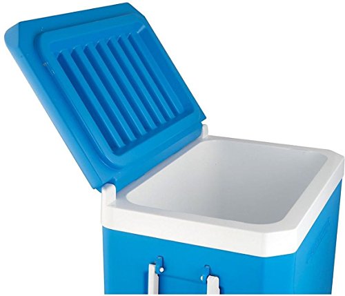 Campingaz Kühlbox Passiv Icetime Plus 42 L, 2000024968 - 4