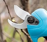 Sécateur électrique sans fil 16,8 V avec batterie au lithium rechargeable longue durée