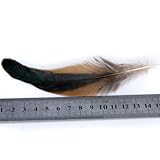 SODIAL(R) Natuerlich Dekoration Hahn Hahn Feder-Idee fuer Kostueme, Huete, Zuhause,Dekor,usw. - 