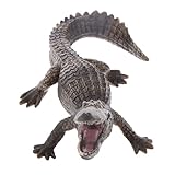 Geschichtenerzählen Requisiten, Schaufenster-Display Spielzeug, etc.