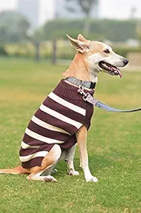 Mutt of Course Warm Regards Purple Sweater for Dogs (Small)