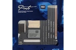Zeichenset, 24-teilig: 5 Stück natürliche Zeichenkohle, 1 Papierwischer, 1 Anspitzer, 1 Knet-Radiergummi, 1 x Lederstück 3,5" x 5", 3 Kohlestifte ... Kohlesticks (2 x hart, 2 x medium, 1 x soft)