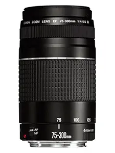 Canon EF 75-300 mm f/4-5.6 III Telephoto Zoom Lens for Canon SLR Cameras