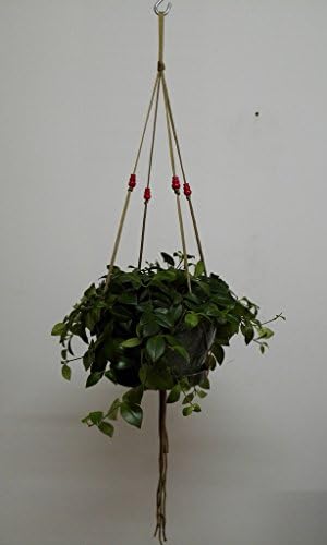 4 Legs Macrame Nylon Rope Plant Holders Hangers with Wood Bead Decoration ,Coffee Color, 80cm height (Straight Measure) and 25cm Tail Tassel