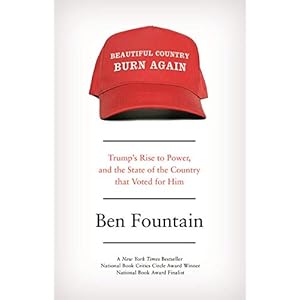 Beautiful Country Burn Again : Trump's Rise to Power and the State of the Country that Voted for Him