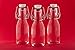Produktbild casa-vetro 6, 12, 24 Oder 50 x 100 ml Bügelflasche Bügelverschlussflasche Leere Glasflasche mit Bügelverschluss Weinflasche Schnapsflasche Essig Öl Glasflaschen 0,1 Liter (24 Stück)