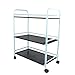 Produktbild Multifunktionswagen, 3 Tier Shelf Mini Beauty Salon Wagen Wagen Lagerung Zahnarzt Wax Treatment 60 cm (L) x 32 cm (B) x 75 cm (H)