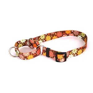 Autumn Flowers Martingale Control Dog Collar - Size Small 14