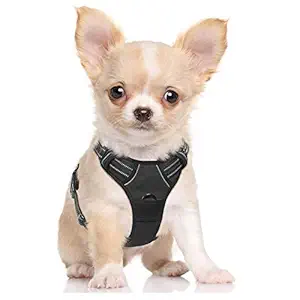 Pets Empire Dog Cat Harness No-Pull Pet Harness Adjustable Outdoor Pet Vest Reflective Oxford Material Vest for Dogs Easy Control ( Color May Vaey ) (Small)