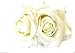 Double Ivory Rose Hair Clip Vintage Rockabilly Bridal Large Big 1950s 1940s Prom P61 *EXCLUSIVELY SOLD BY STARCROSSED BEAUTY*