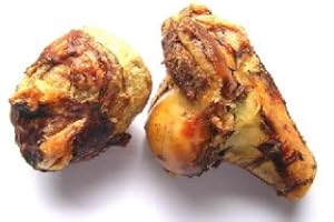 T. FORREST & SONS Bulk Dog Treats - Petsnack Roast Knuckle Bone - Bulk Pack of 20