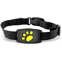best gps dog tracker uk