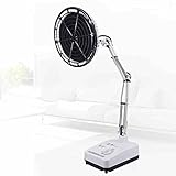 Treatment instrument& Electromagnetic Therapy Instrument, Far Infrared Therapeutic Device TDP Baking Lamp Physiotherapy Lamp Desktop Magnetic therapy instrument ( Color : #1 )