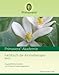 Primavera Fachbuch der Aromatherapie, Band I by 