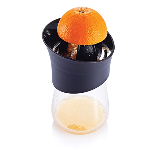 XD Design P261.181 Press Handsaftpresse mit 2 Aufsätzen und Glaskaraffe - 4