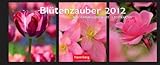 Image de Blütenzauber 2012 Panorama Postkartenkalender: Panoramakalender mit 12 Postkarten
