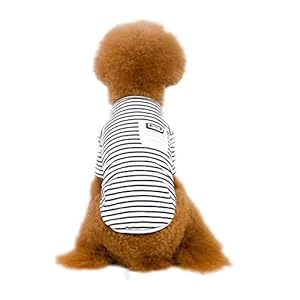 Ropa para Mascotas,Dragon868 Verano pequeño Perro Rayas Chaleco Ángel Camisas