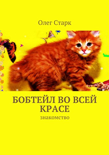 Бобтейл во всей красе: знакомство