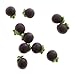 Produktbild Homyl 10Pcs 1:12 Puppenhaus Puppenstube Miniatur Lebensmittel Obst Früchte Essen Zubehör - Mangosteen